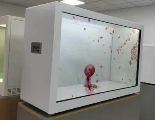 Unogona Gadzirisa Transparent LED Screen?